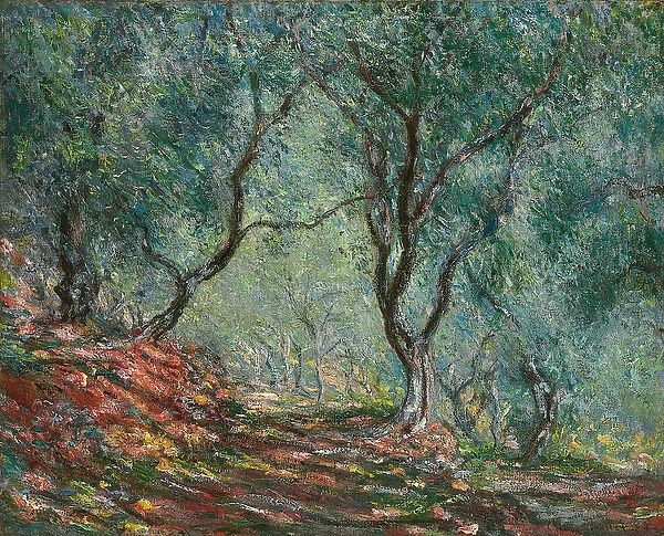 Olive Trees in the Moreno Garden, 1884 (oil on canvas)