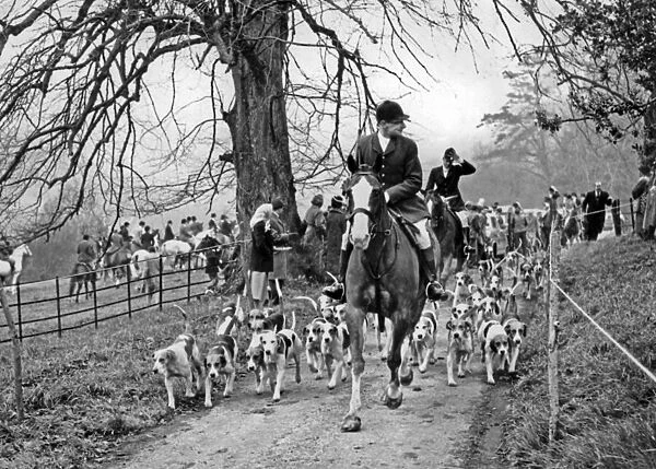 Opening Meet of the Cotswold Hunt, 14th November 1957 (b  /  w photo)