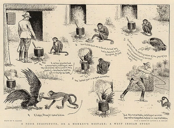 A Poor Substitute, or a Monkeys Mistake, a West Indian Story (litho)