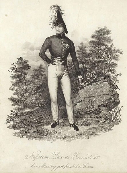 Portrait of Napoleon II (engraving)
