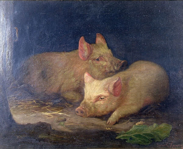 Two Prize Pigs in an Interior