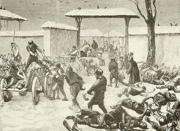 Recovering the dead after the siege of Plevna, Bulgaria in 1877 (litho)