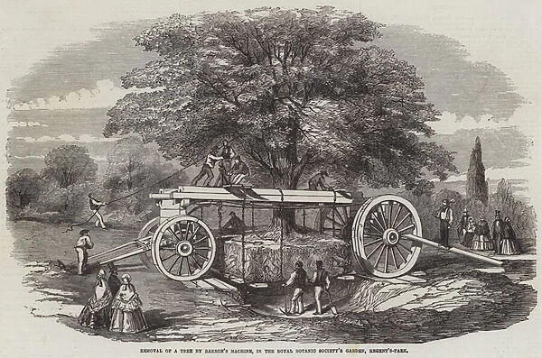 Removal of a Tree by Barrons Machine, in the Royal Botanic Societys Garden, Regent s-Park (engraving)