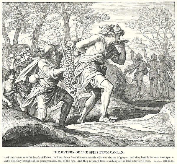 The Return of the Spies from Canaan (engraving)
