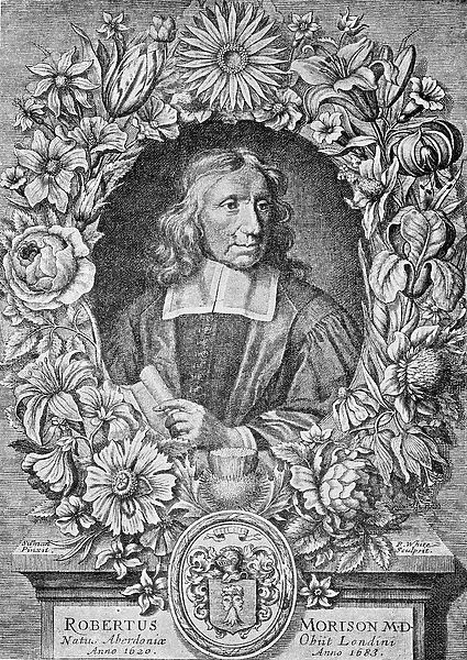 Robert Morison, 1680 (engraving)