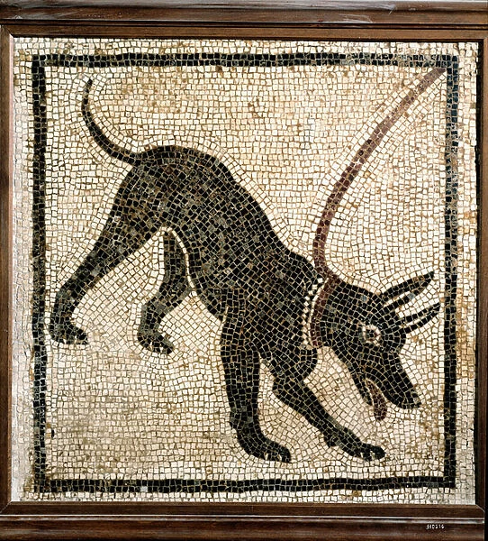 Roman art: 'canem cave'(Beware of the dog) Mosaic from Pompei