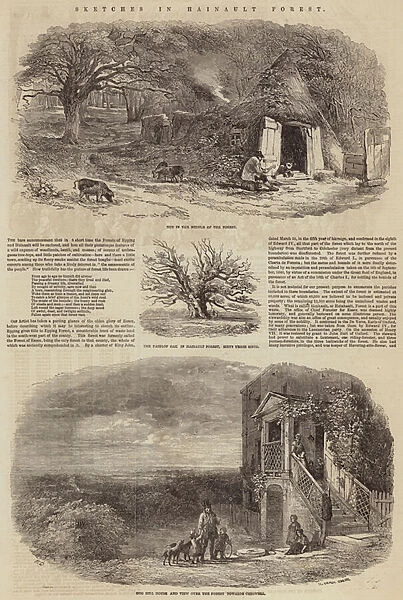 Sketches in Hainault Forest (engraving)