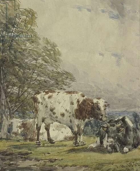 A Study of Cattle, 19th century