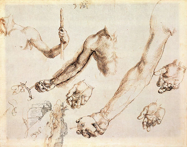 Study of male hands and arms (pen)