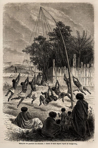 The swing of Neo-Zelandan warriors in the Isthmus of Auckland