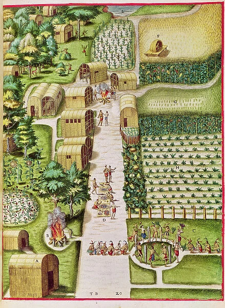 The Village of Secoton, from Admiranda Narratio... published by Theodore de Bry