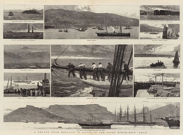 A Voyage from England to Natal in the Union Steam-Ship 'Arab'(engraving)
