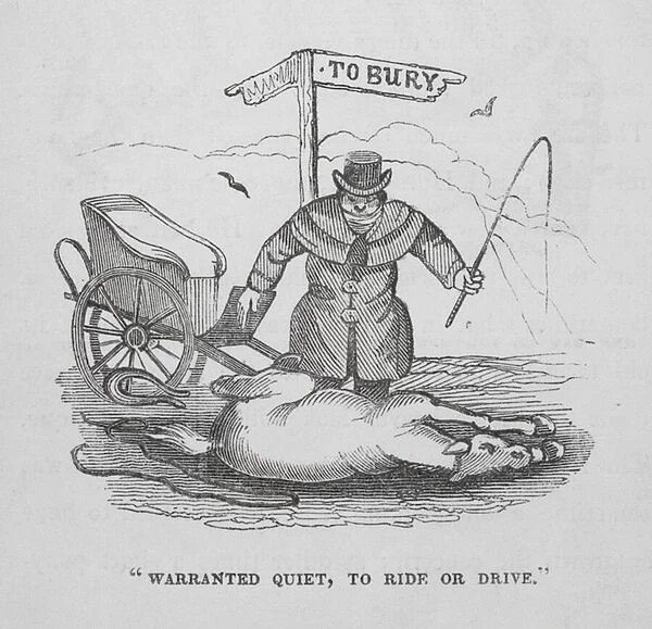 'Warranted quiet, to ride or drive'(engraving)