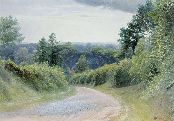 A Warwickshire Lane
