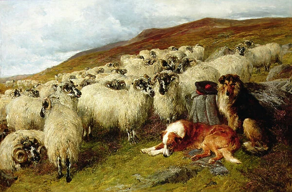 Weary but Watchful, 1891 (oil on canvas)