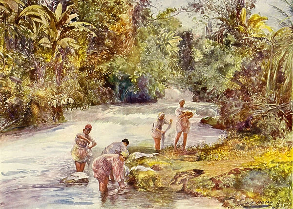 The White River, Jamaica (colour litho)