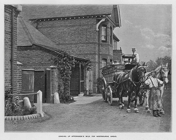 Whiteleys Farms: Loading up afternoons milk for Westbourne Grove (b  /  w photo)