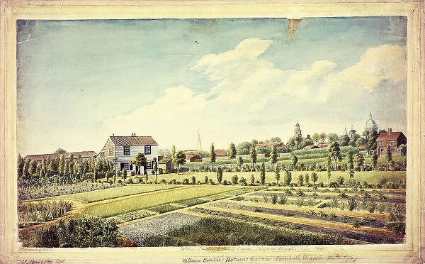 William Curtiss Botanic Garden, Lambeth Marsh, Ante 1787, c
