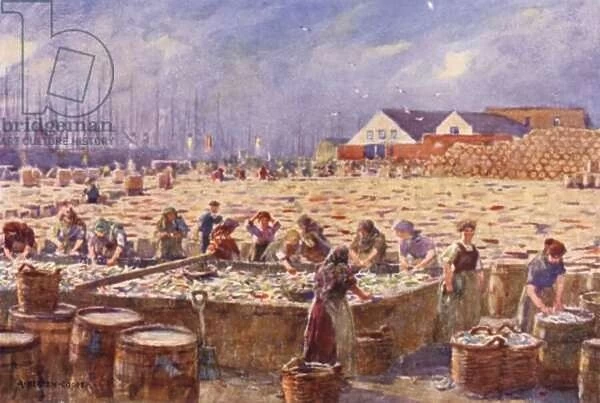 Yarmouth, Norfolk, The Herring Harvest (colour litho)