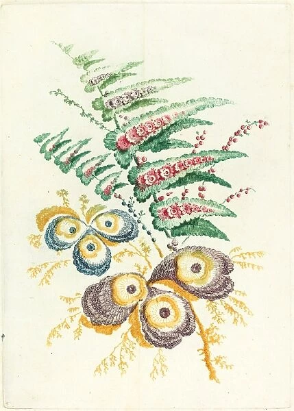 Anne Allen after Jean-Baptiste Pillement (French, active 1790s), Fantastic Flowers