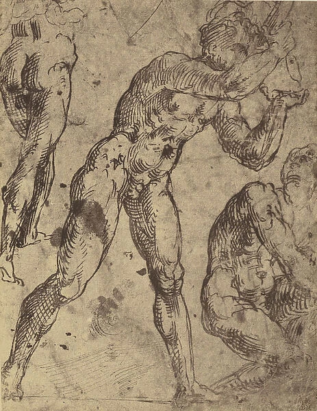 Drawing Male Nude Figure Studies Raphael Roger Fenton
