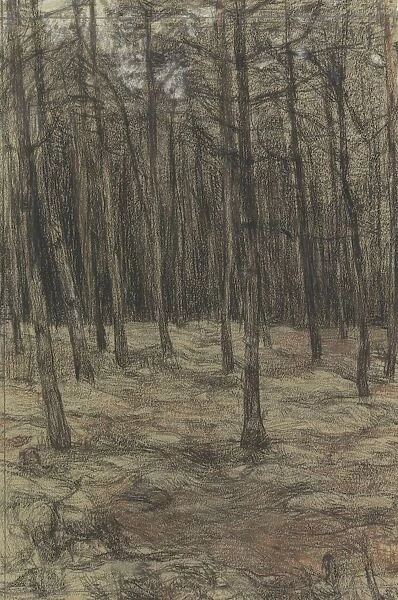 Forest landscape Jan Veth 1885 paper chalk
