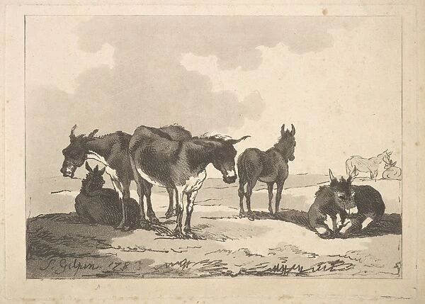 Group Five Donkeys Three Standing Two Lying 1783