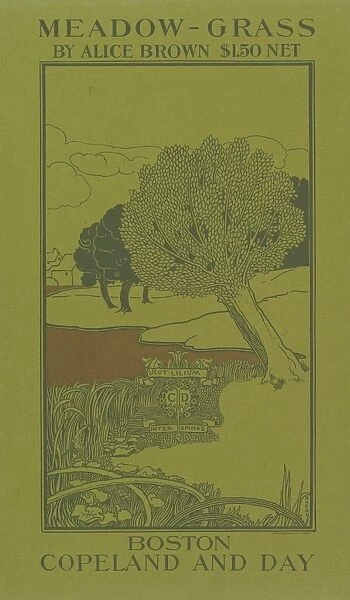 Meadow Grass 1896 Lithograph Sheet 17 7  /  16 10 3  /  16