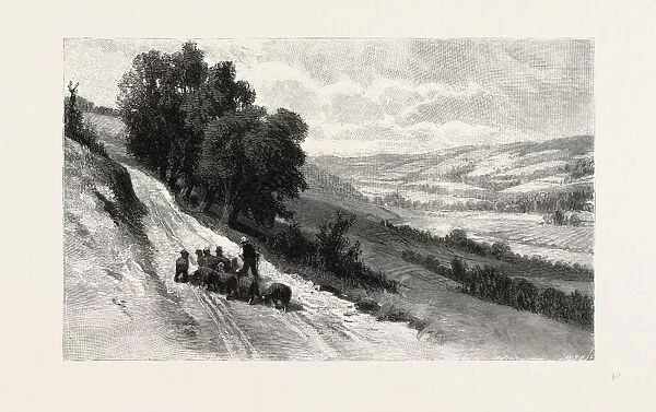 Nova Scotia, Valley of the Gaspereau, Canada, Nineteenth Century Engraving