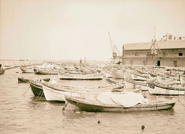 Palestine disturbances 1936 Jaffa harbour six months