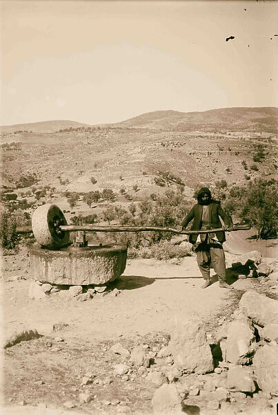 Primitive olive crusher 1900 Middle East Israel