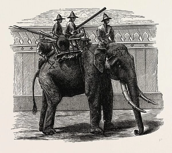 A Siamese War Elephant