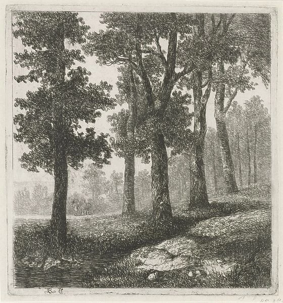 View of a forest, Hermanus Jan Hendrik van Rijkelijkhuysen, 1823 - 1883
