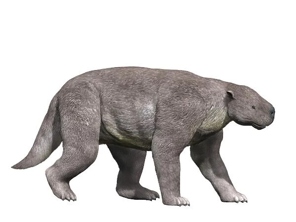 Barylambda is a pantodont mammal from the Paleocene epoch