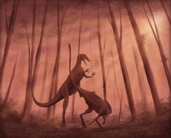 Two Bicentenaria argentina dinosaurs fighting in the woods