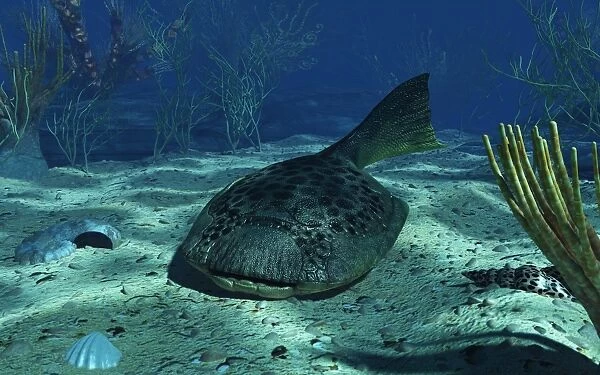 A Drepanaspis on the bottom of a shallow Devonian sea