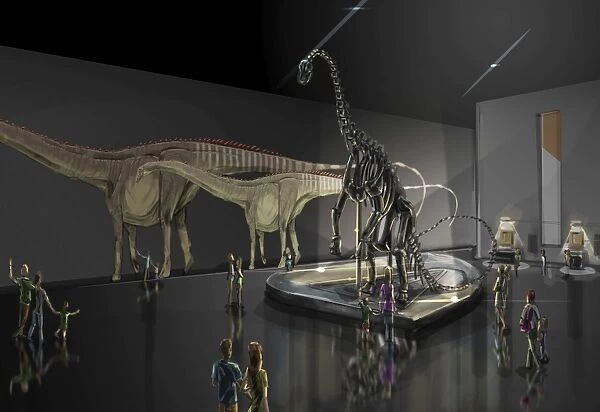 Exhibition space featuring Diplodocus longus