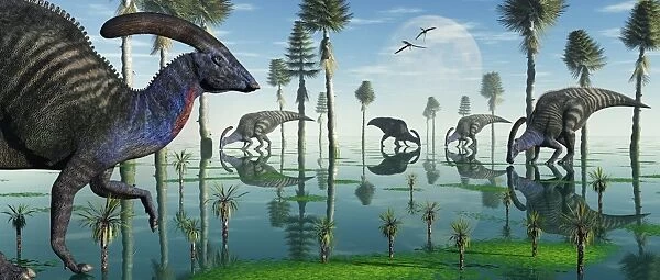 A group of Parasaurolophus duckbill dinosaurs feed from a lake