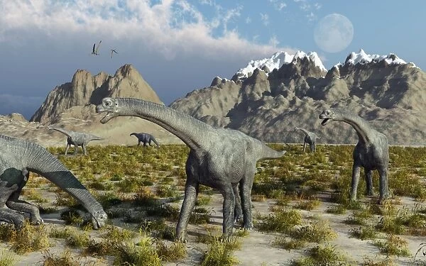 A herd of Camarasaurus sauropod dinosaurs during Earths Jurassic period