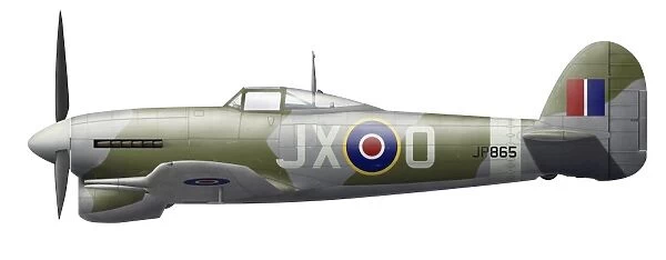 Illustration of a Hawker Typhoon of the Royal Air Force