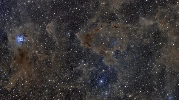 Iris Nebula and surrounding dusty region in Cepheus constellation