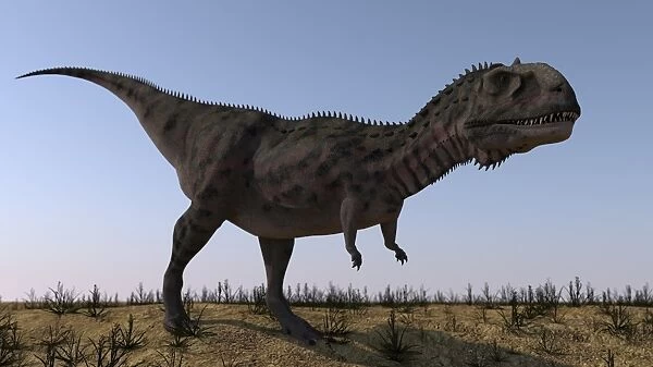 Majungasaurus in a barren environment