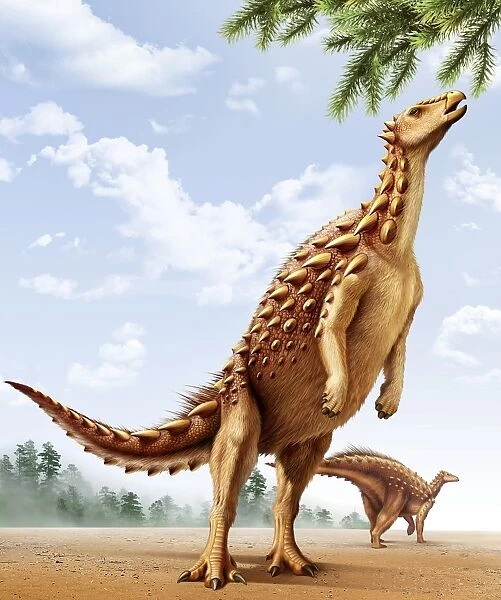 A Scelidosaurus standing on its hind legs eating conifer leaves