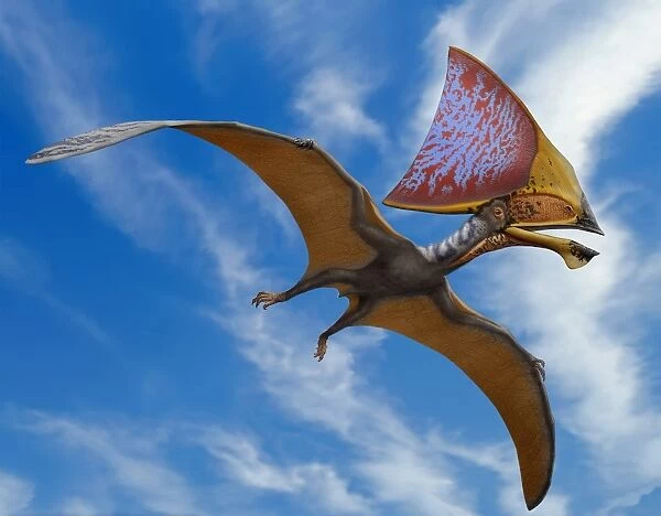 Tupandactylus imperator, a pterosaur from the Early Cretaceous Period