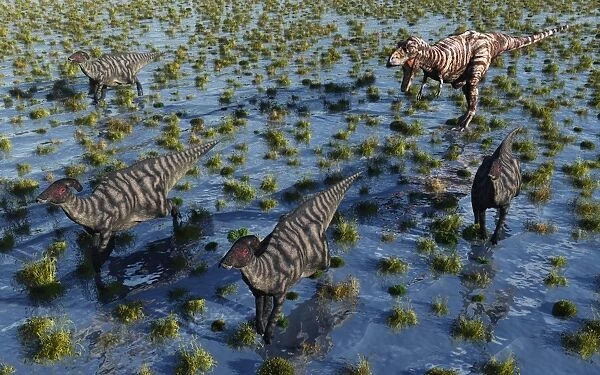 Tyrannosaurus Rex chasing a herd of Parasaurolophus dinosaurs