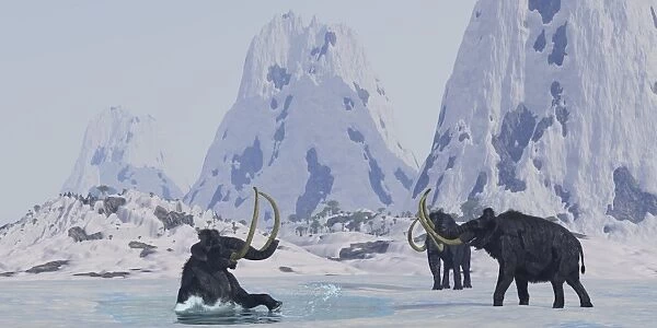 A Woolly Mammoth struggles for survival as he falls through ice on a frozen lake