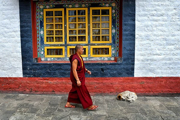 Monk in a monastery