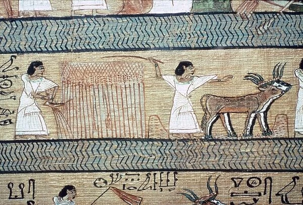 Detail from the Book of the Dead showing the Elysian Fields