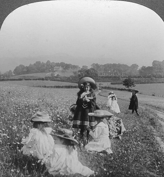 Children in a meadow, Keswick, Cumbria. Artist: Excelsior Stereoscopic Tours