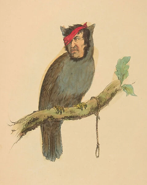 Gallows Bird, from The Comic Natural History of the Human Race, 1851
